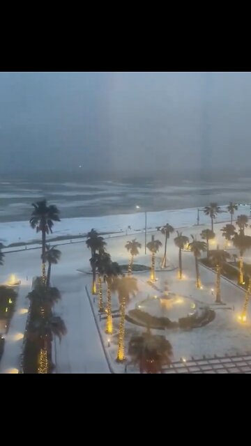 SUNSHINE STATE FLORIDA🏝️❄️⛷️📸GET IT’S FIRST WINTER🌨️🏖️☃️💫
