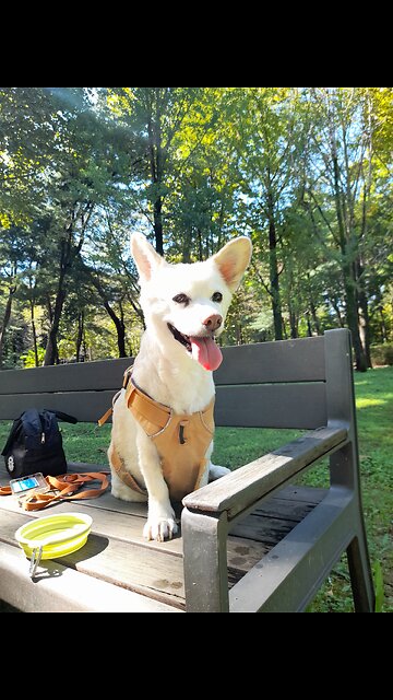 20251008. God Is Love.