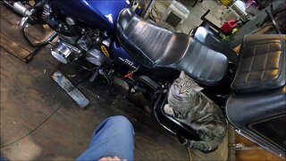 Going to call him Sam