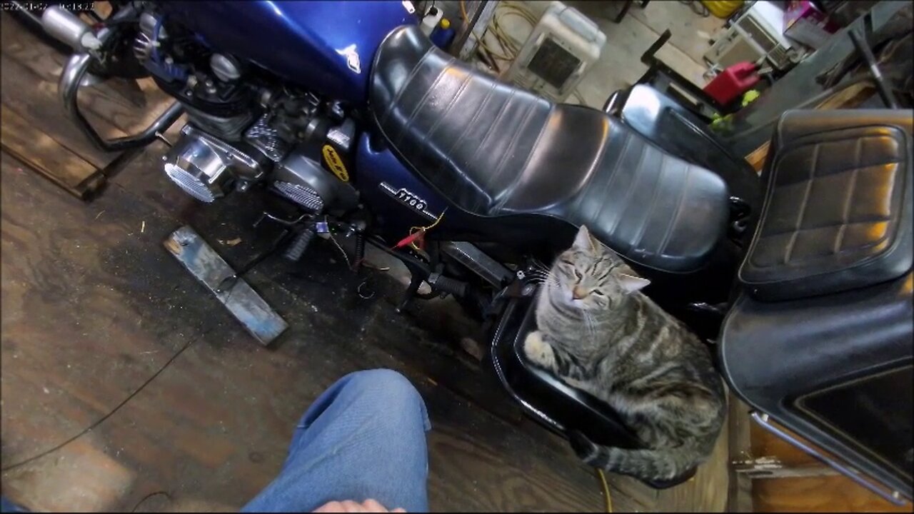 Going to call him Sam