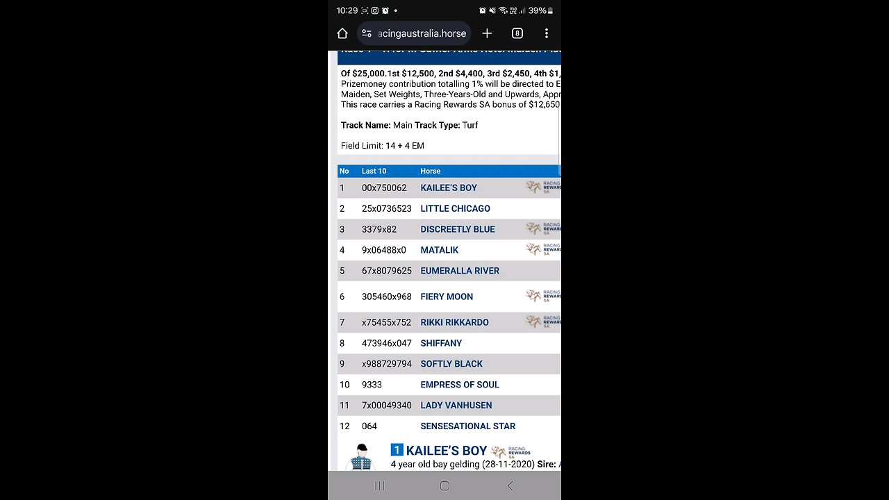 Oakbank Early Quaddie – Full Breakdown & Betting Strategy (Races 1-4)