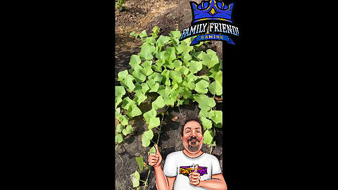 Garden 2025 UPdate #9