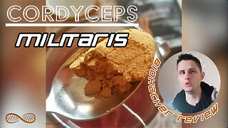 An invigorating military-grade mushroom ⭐⭐⭐⭐ Biohacker Review of Cordyceps Militaris