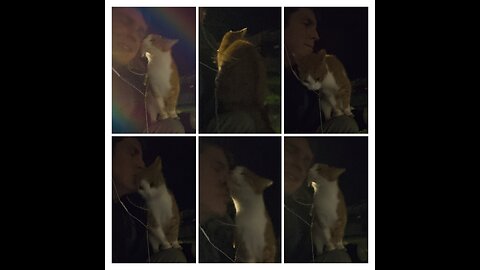 Beautiful Gingee climbed up on my shoulders 💕