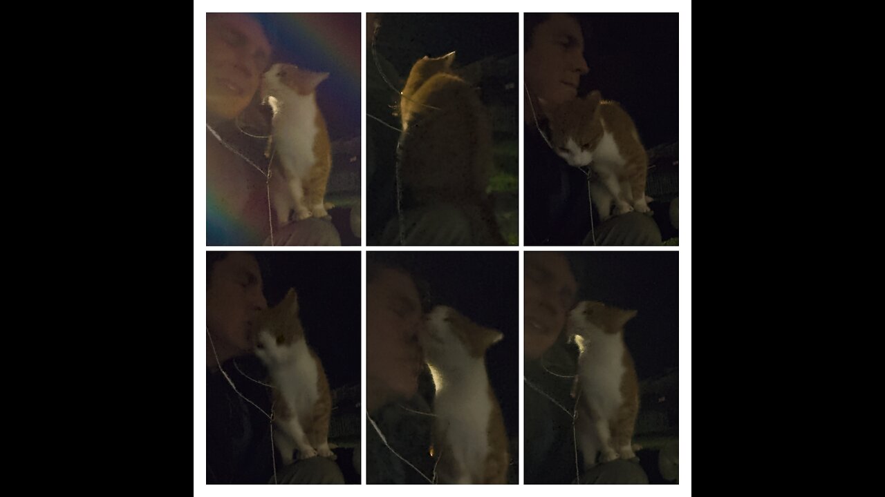 Beautiful Gingee climbed up on my shoulders 💕