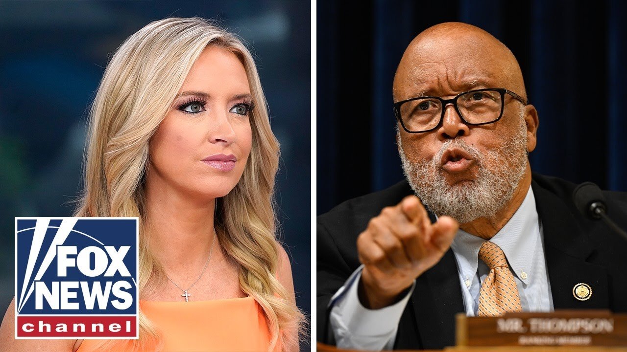 Kayleigh McEnany RIPS Democrat: This was a terrorist attack, not an 'accident'