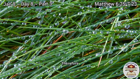 Bible in a Year! Jan 8 ~ Day 8 ~ Part 3. Matthew 6:25-7:23. Faith. Scripture. Truth. Devotional!