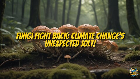 Climate Change: Rising Fungal Threats and Thermo-Adaptation