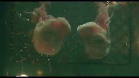 ..Frankenstein - Final Trailer (2025) - Guillermo del Toro, Oscar Isaac, Jacob Elordi