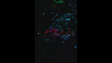 Hadees e nabvi (saw) #islam #viralvideos #islamicreminders #prophetmuhammadsaw #hadeesenabvi