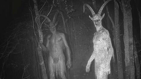 Top 10 Cryptids Caught Clearly on Camera in 2025