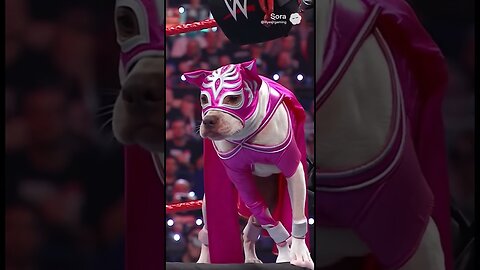 My dog makes her @WWE Debut! #shorts #short #funny #comedy #ai #wweraw #wwesmackdown #wrestling