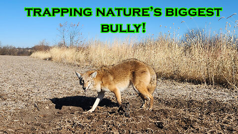 Trapping Nature's Biggest BULLY: THE COYOTE | S5 Ep 11