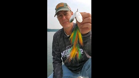 Windels Mag Harasser