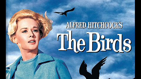 The Birds ( Alfred Hitchcock ) Full Movie 1963