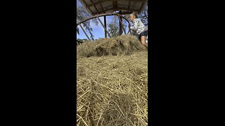 Women pay WHAT for fake nails!?