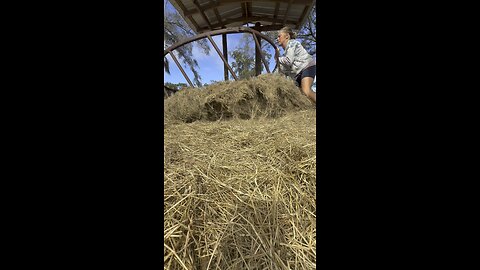 Women pay WHAT for fake nails!?