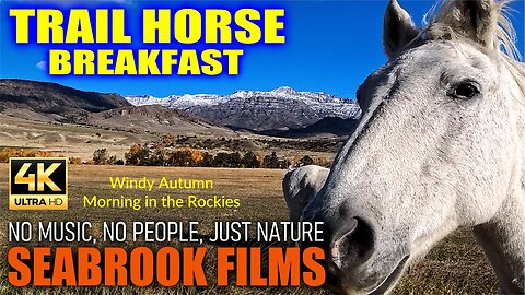 Trail Horse Breakfast: Windy Autumn Morning in the Rockies