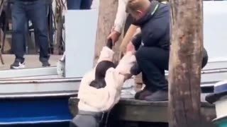 The foreign pickpocket in Venice is thrown into the canal. The Venetians have had enough