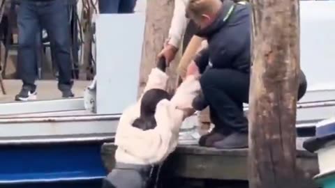 The foreign pickpocket in Venice is thrown into the canal. The Venetians have had enough