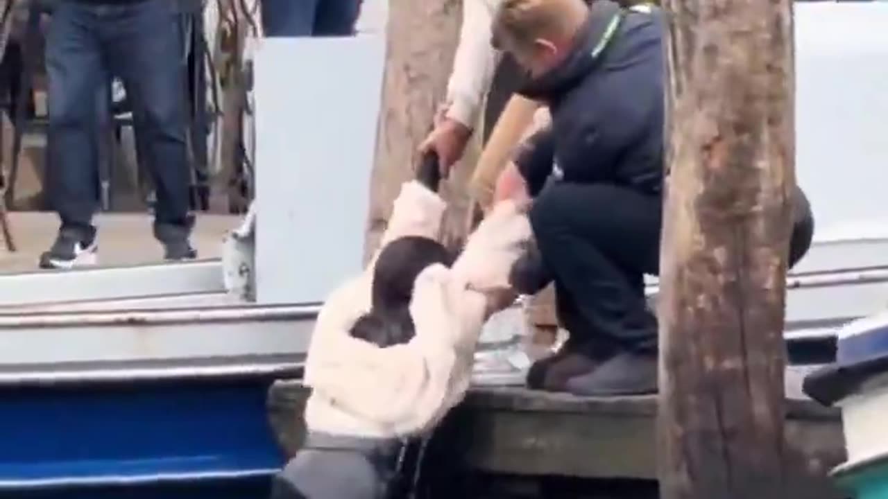 The foreign pickpocket in Venice is thrown into the canal. The Venetians have had enough