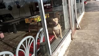 Dobie Gray DRIFT AWAY