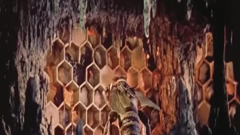 Funny comedy action love