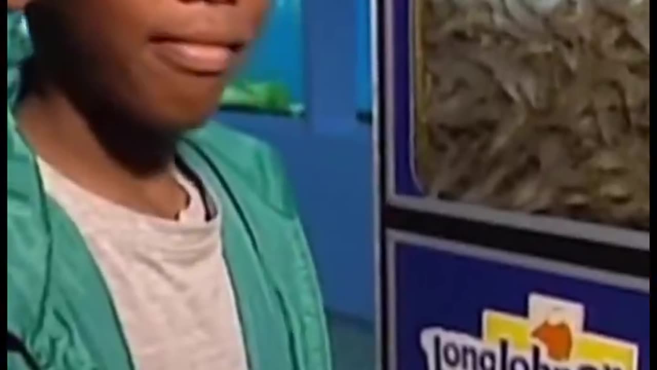 Do you remember the Long John Silvers Shrimp Fryolator