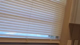 From Eviction to Rent Ready — Final Inspection Time!