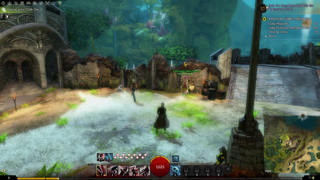 Guild Wars 2