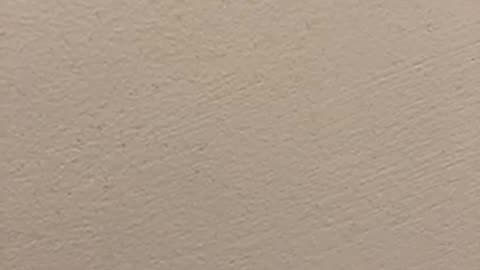 Newsmax Christmas Special