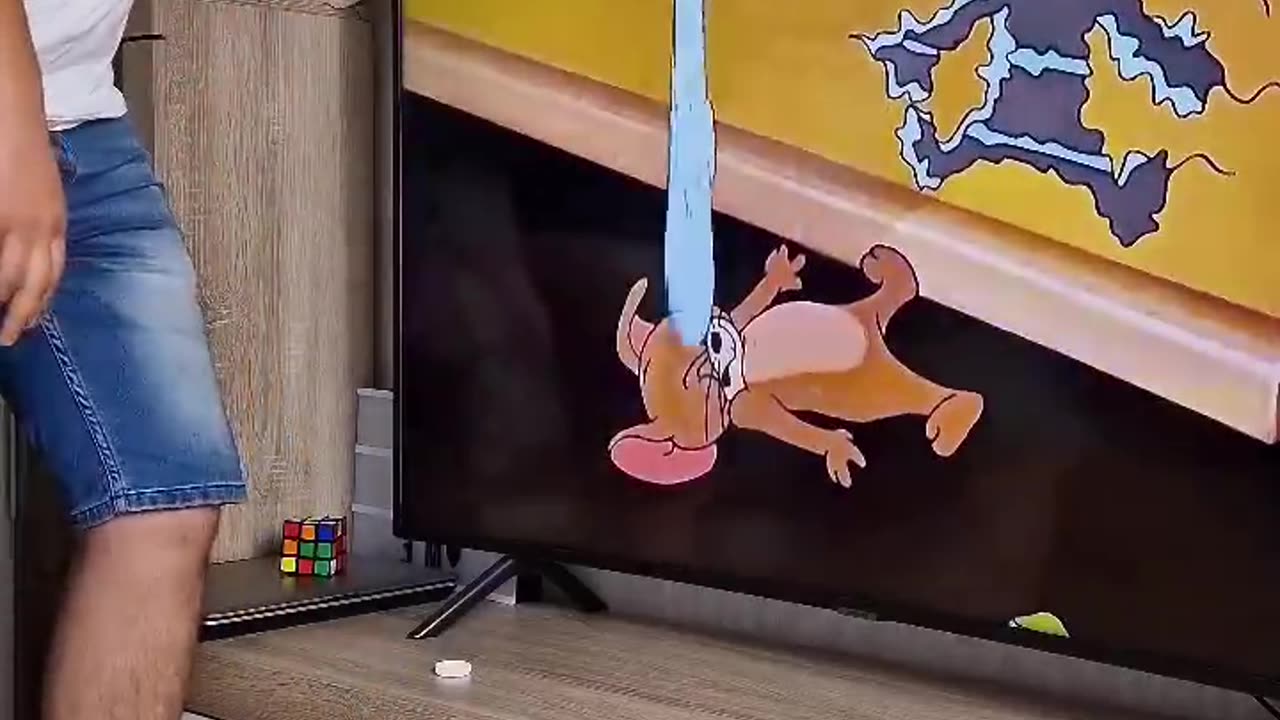Tom & Jerry 🤭🤣🤣🤣
