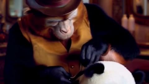 What Does It Mean to Dream About Scissors?