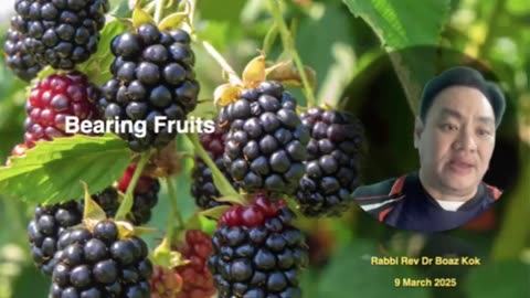 Devotional 365 - Bearing Fruits!