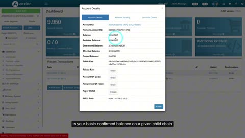 113 How to View Your NXT Account Details in the Ardor Wallet
