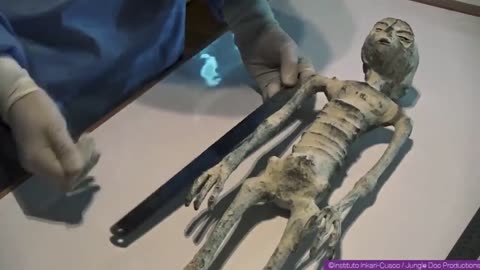 📧👽 McDowell D.D.S. Confirms Small Bodies! | TheTruthAbove