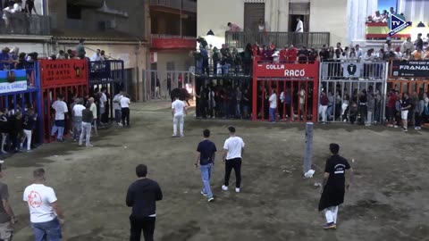 3 TORO NOCHE 4oct AFANADO ganadería ZALDUENDO FESTES DE ROSER 2025