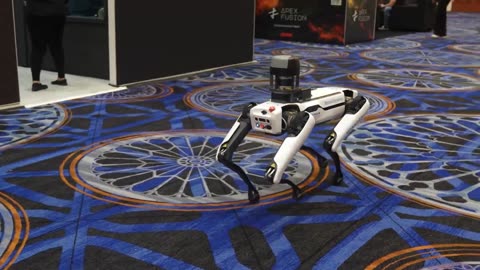 Bitcoin Clear for $100K Breakout! Crypto Bulls Race In December?