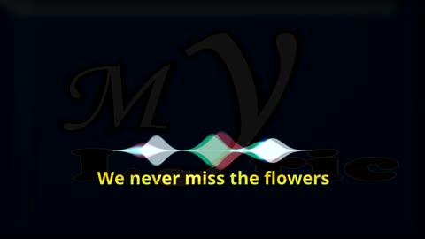 Dermot Kennedy - better days (lyrics) (1)