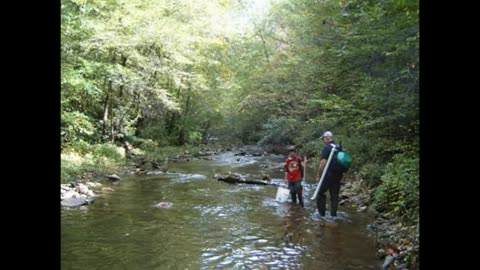 Gold in Tennessee Part 2 - Wildcat Creek