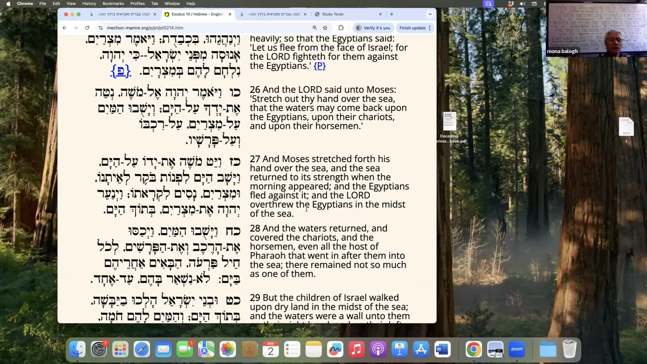 Parasha B'shalach: Exodus 13:17-17:16