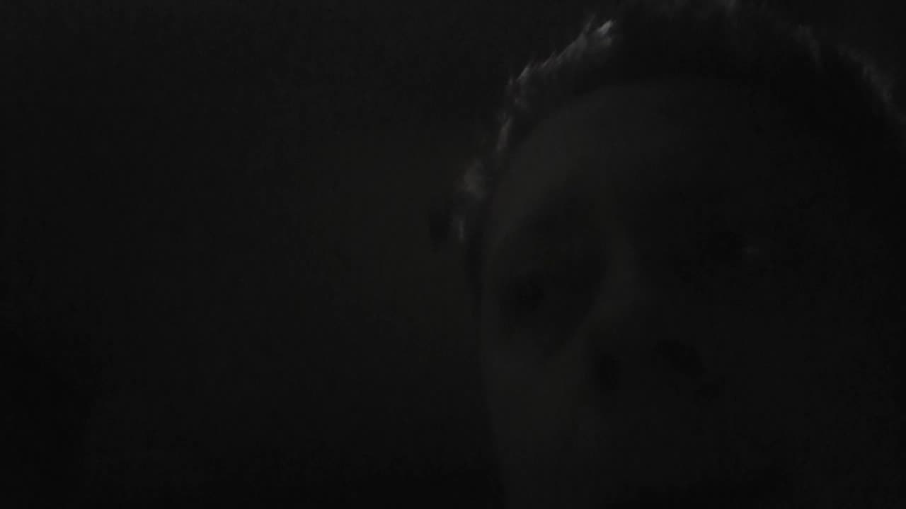 Statue of Jesus from Donald Trump