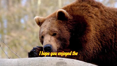 Thank you for your support.......