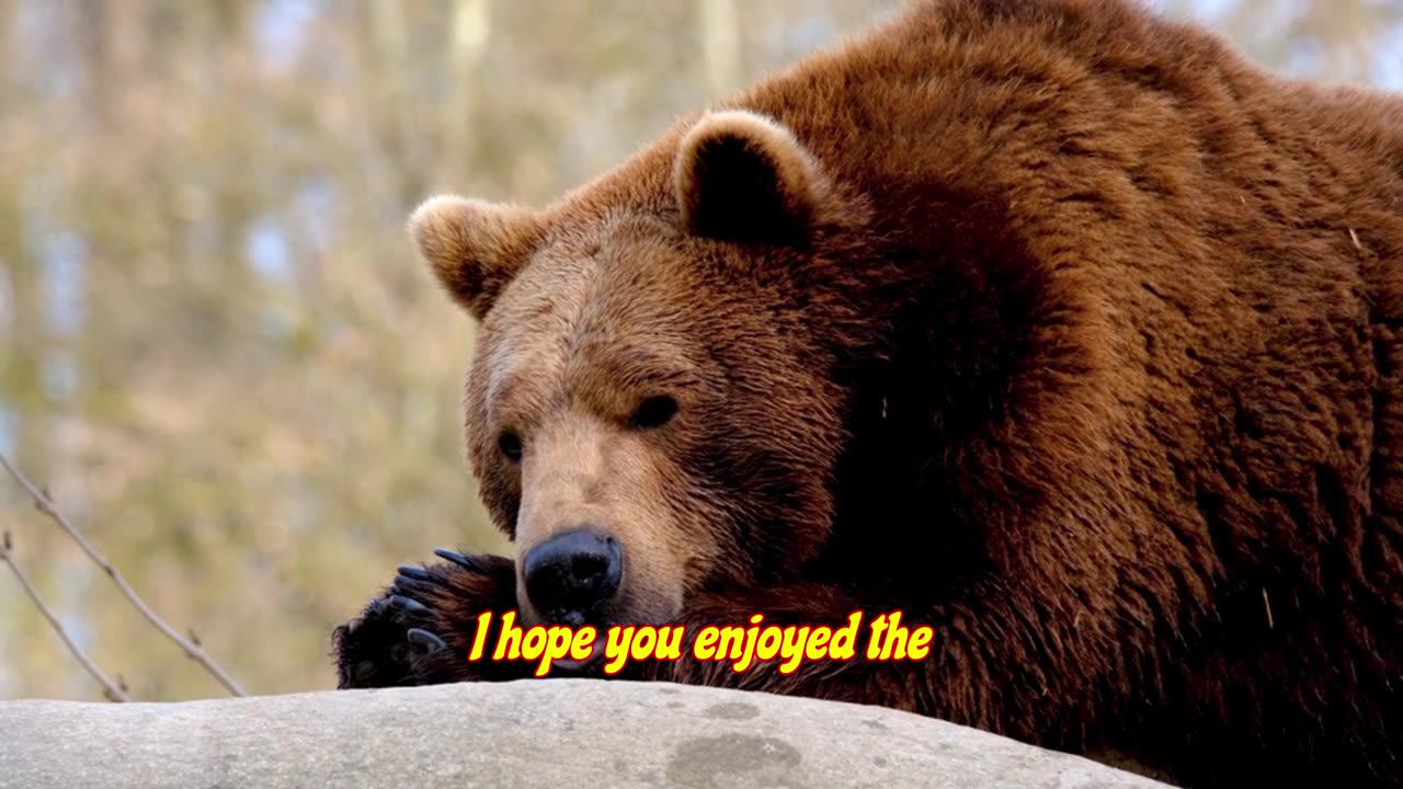 Thank you for your support.......