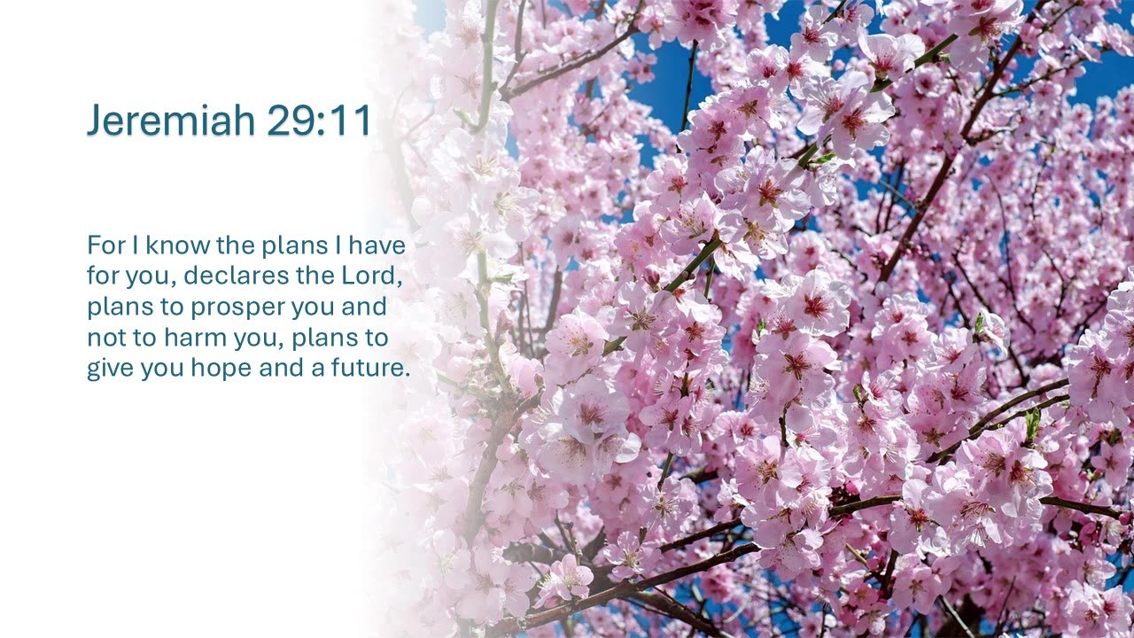 Bible Verses of Hope