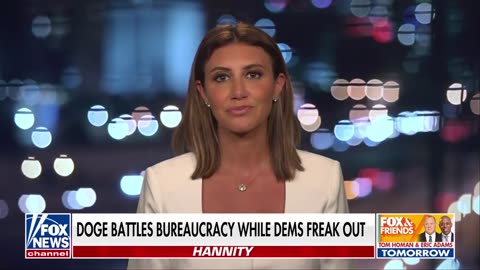 DOGE hit Democrats’ ‘Achilles heel’: Alina Habba