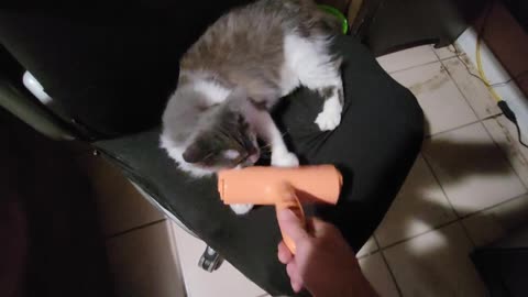 Meow Vs Chom Chom (May 25, 2023)