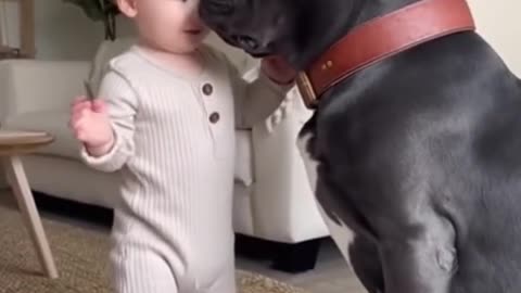 Cute Baby Playing with Adorable Animals 🐶🐱 | Heartwarming Moments You’ll Love