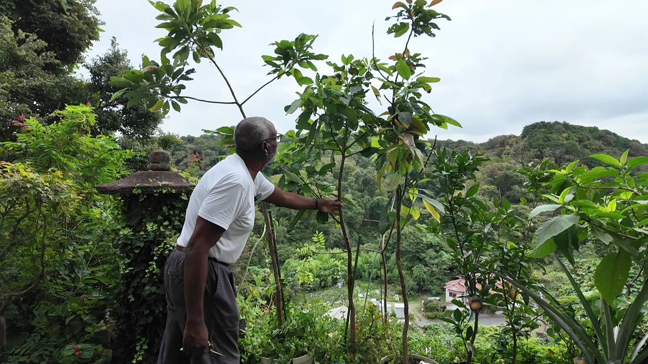 New Home & Garden = New Horizons