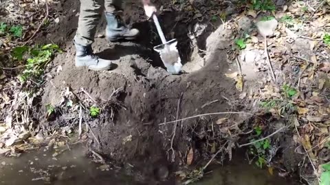 findings from within the grave